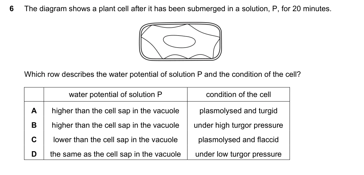 Question 6, November 2018, 0610 Paper 22