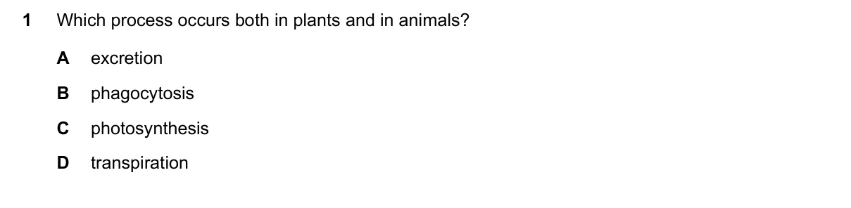 Question 1, November 2018, 0610 Paper 13