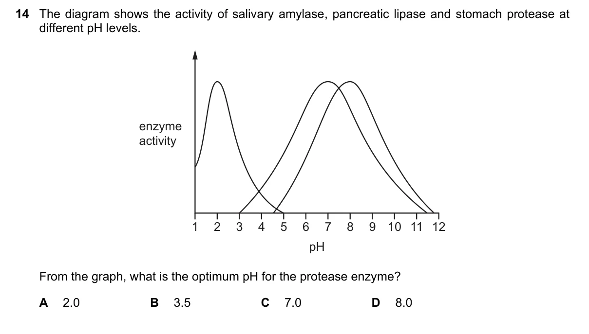 Question 14, November 2018, 0610 Paper 13