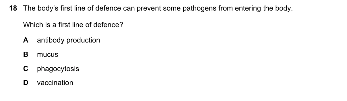 Question 18, November 2018, 0610 Paper 13