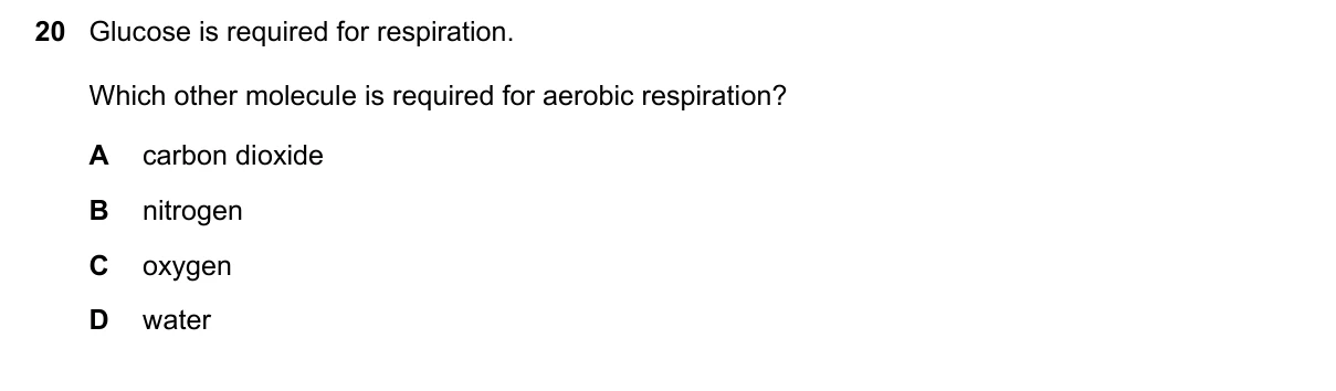 Question 20, November 2018, 0610 Paper 13