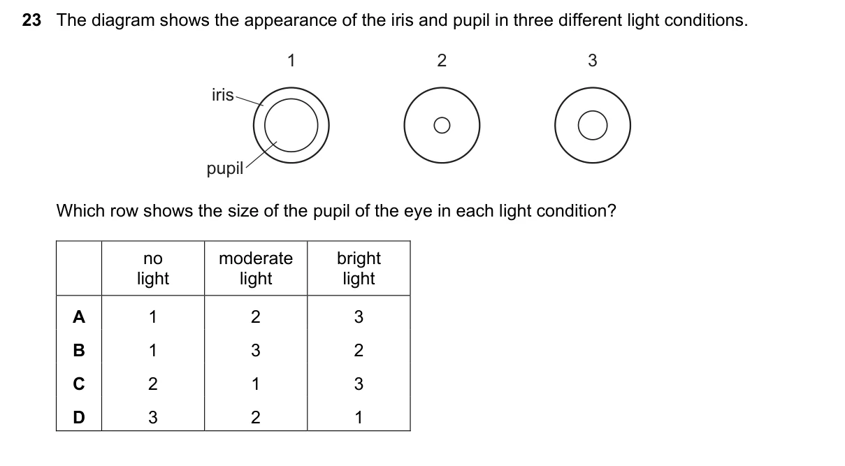 Question 23, November 2018, 0610 Paper 13