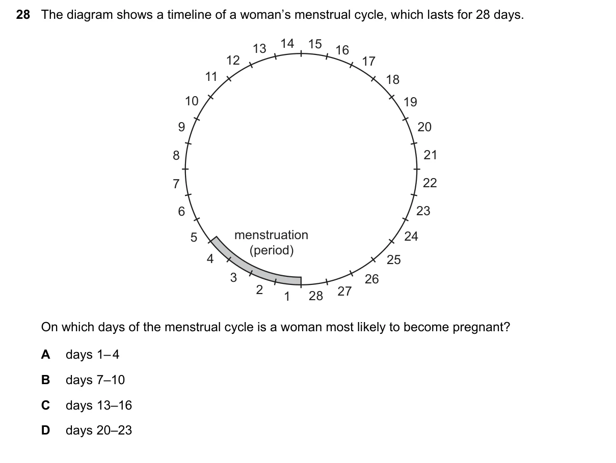 Question 28, November 2018, 0610 Paper 13