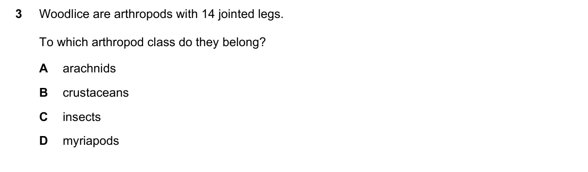 Question 3, November 2018, 0610 Paper 13