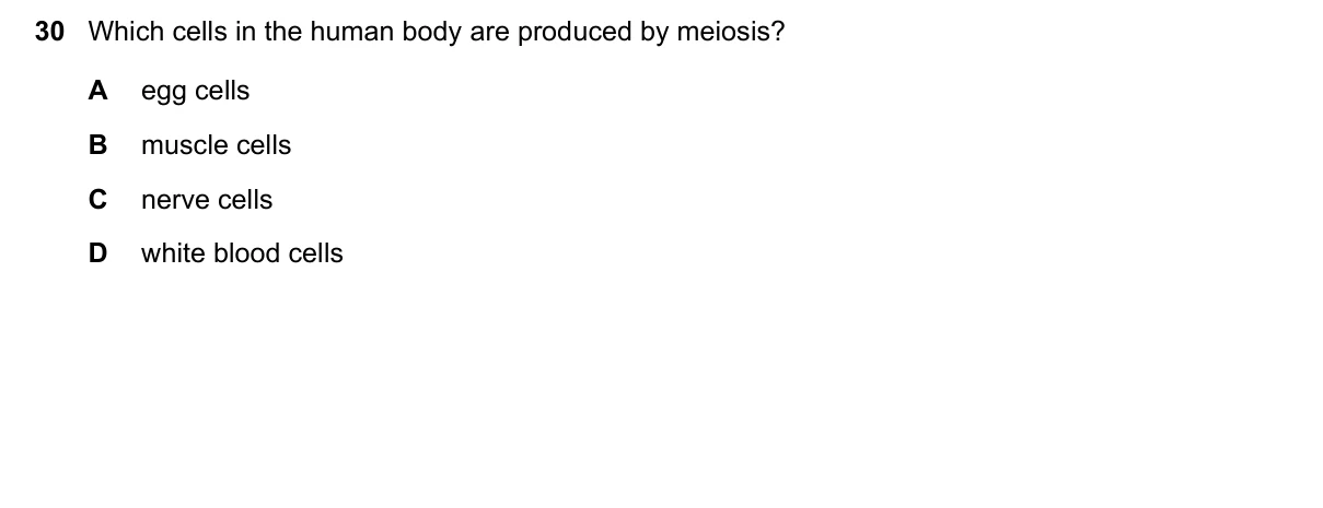 Question 30, November 2018, 0610 Paper 13