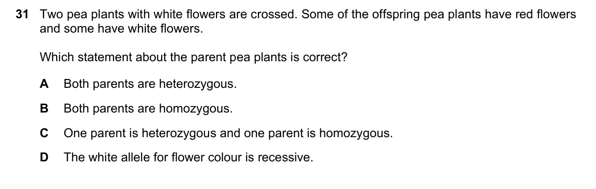 Question 31, November 2018, 0610 Paper 13