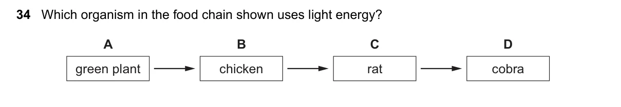 Question 34, November 2018, 0610 Paper 13