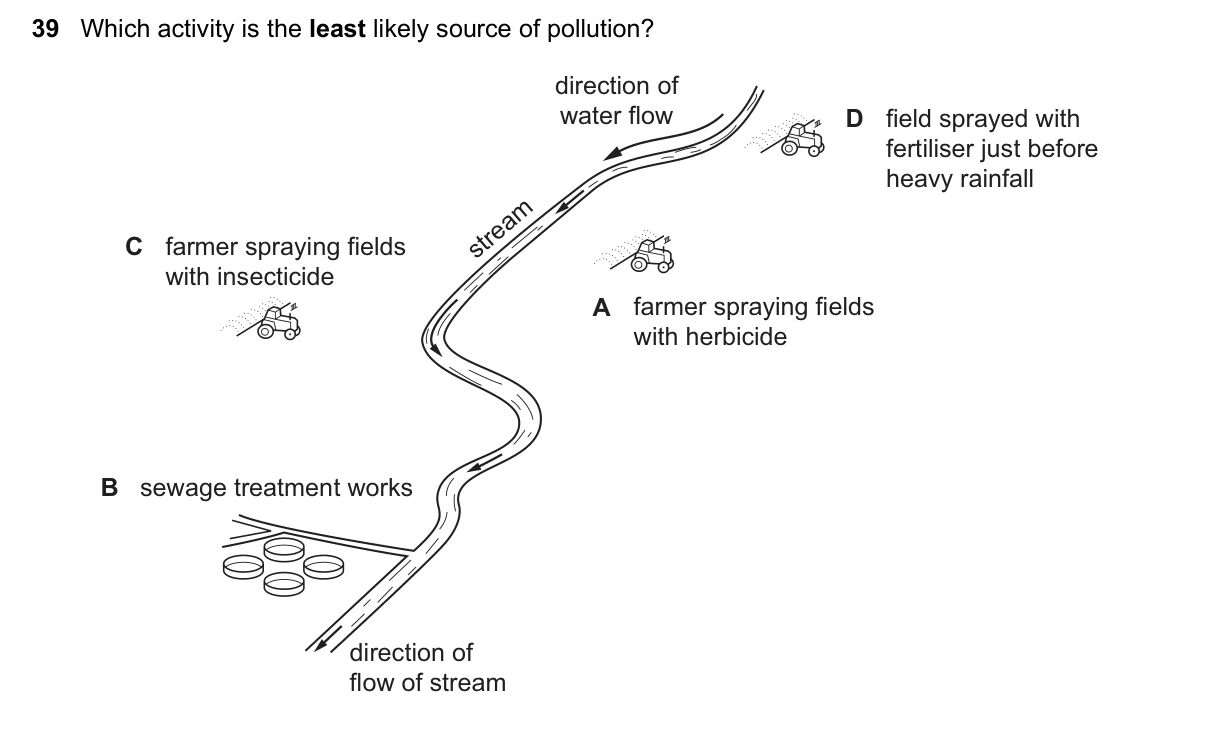 Question 39, November 2018, 0610 Paper 13