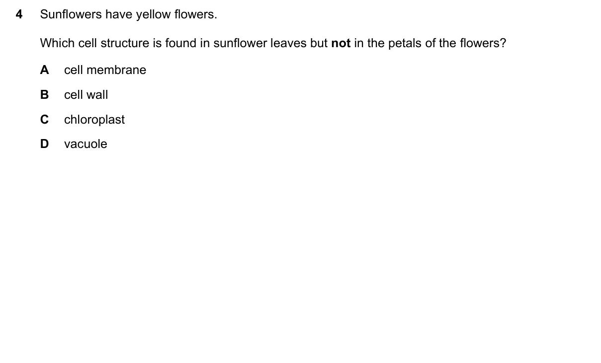 Question 4, November 2018, 0610 Paper 13