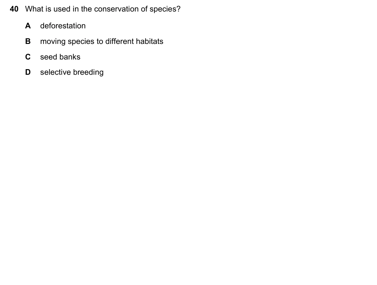 Question 40, November 2018, 0610 Paper 13