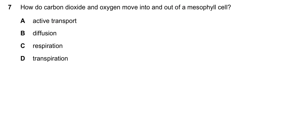 Question 7, November 2018, 0610 Paper 13