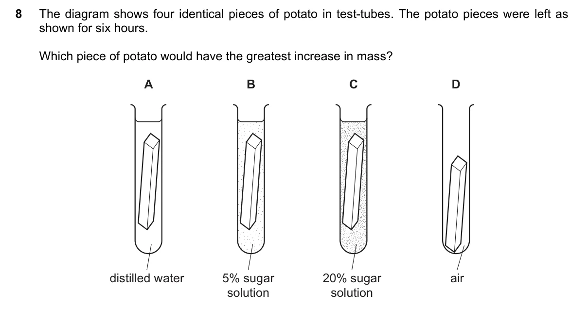 Question 8, November 2018, 0610 Paper 13