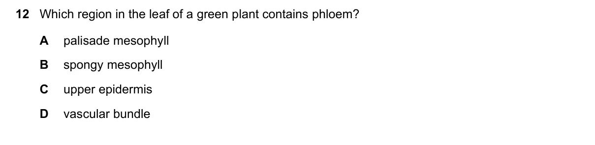Question 12, November 2018, 0610 Paper 23