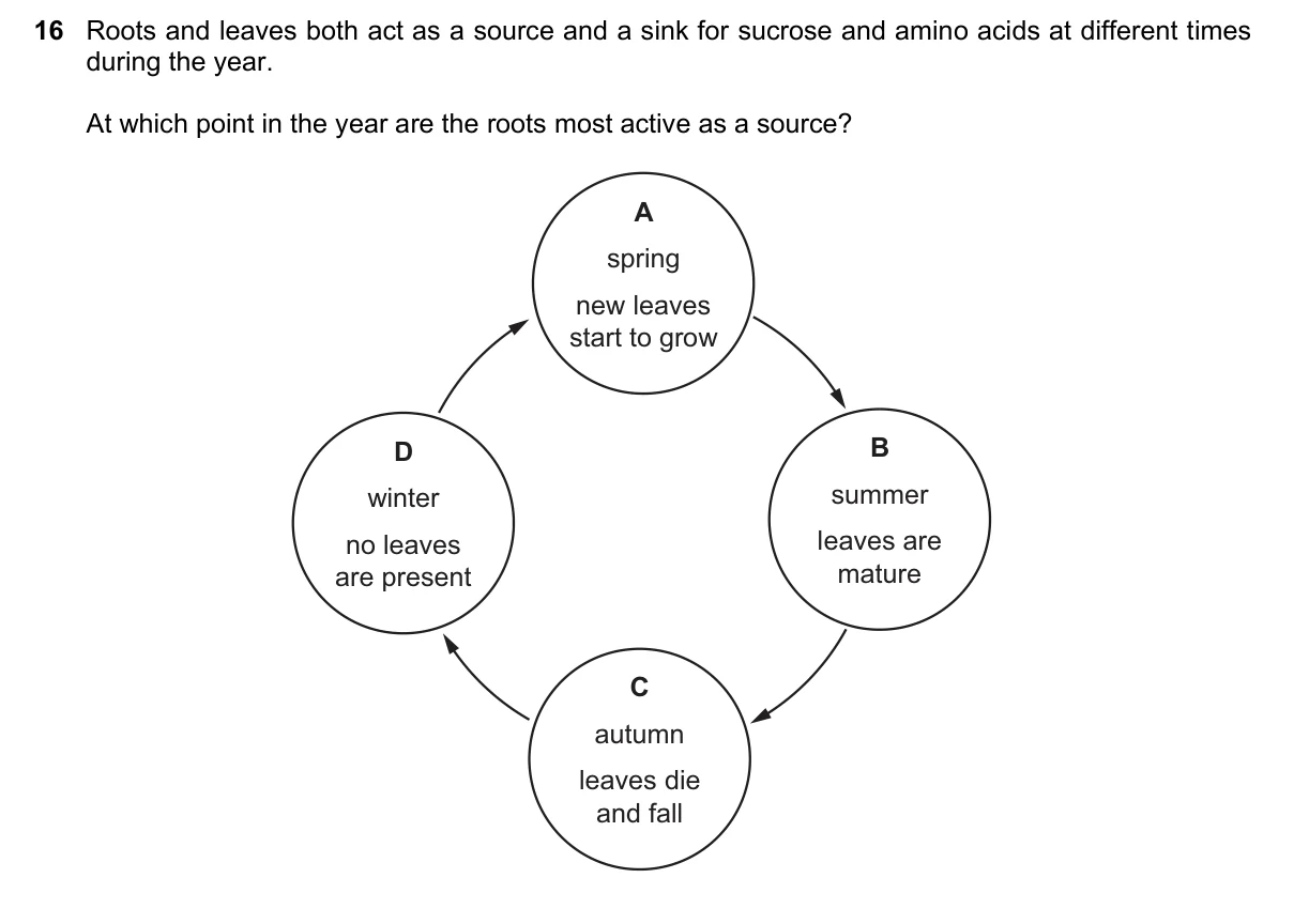 Question 16, November 2018, 0610 Paper 23