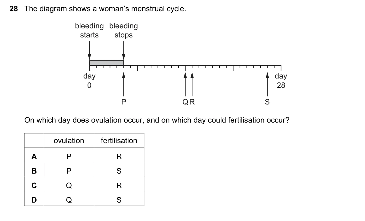 Question 28, November 2018, 0610 Paper 23