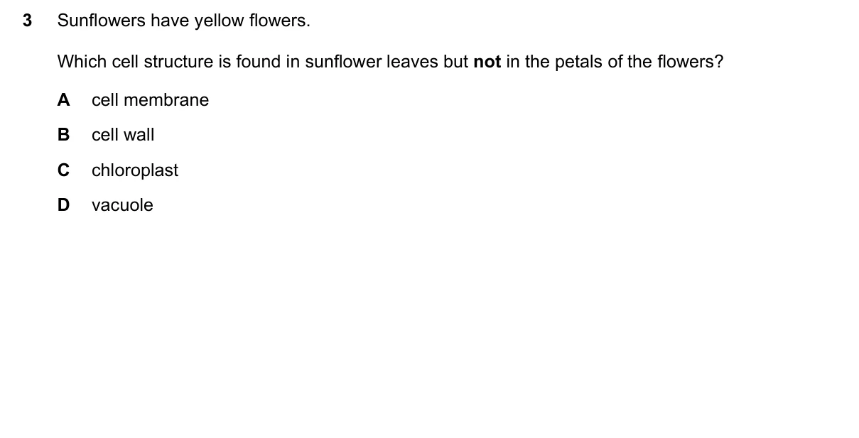 Question 3, November 2018, 0610 Paper 23