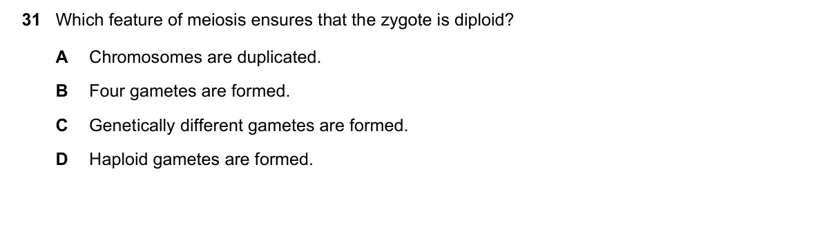 Question 31, November 2018, 0610 Paper 23