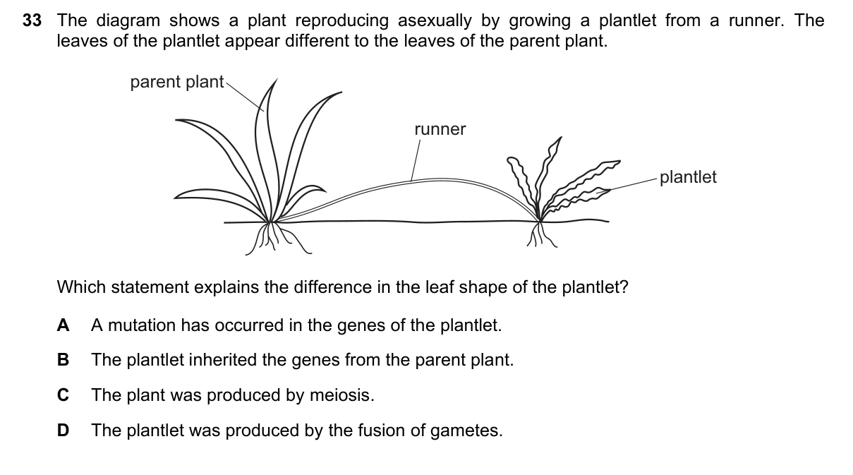 Question 33, November 2018, 0610 Paper 23