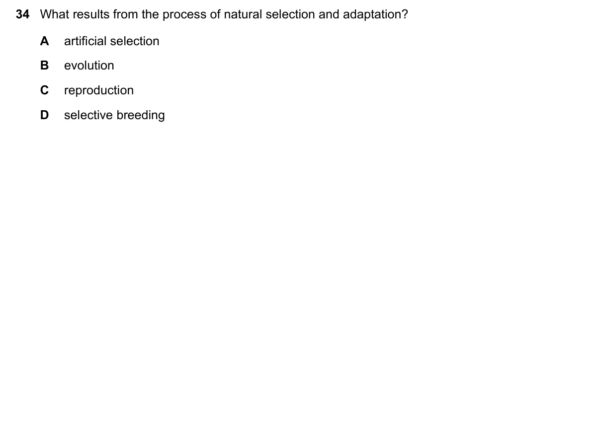 Question 34, November 2018, 0610 Paper 23
