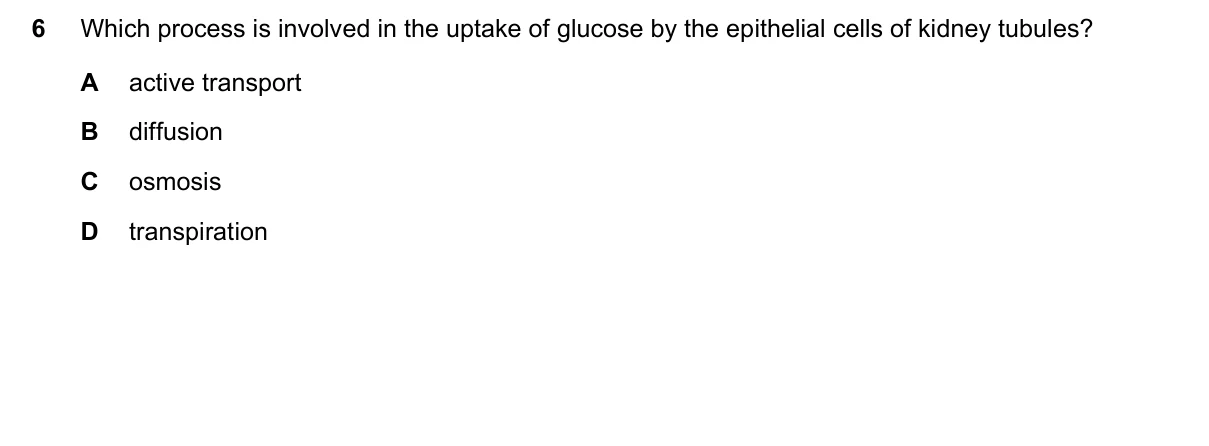 Question 6, November 2018, 0610 Paper 23