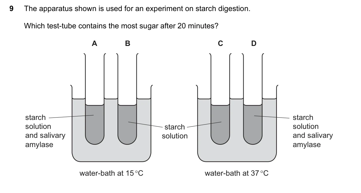Question 9, November 2018, 0610 Paper 23