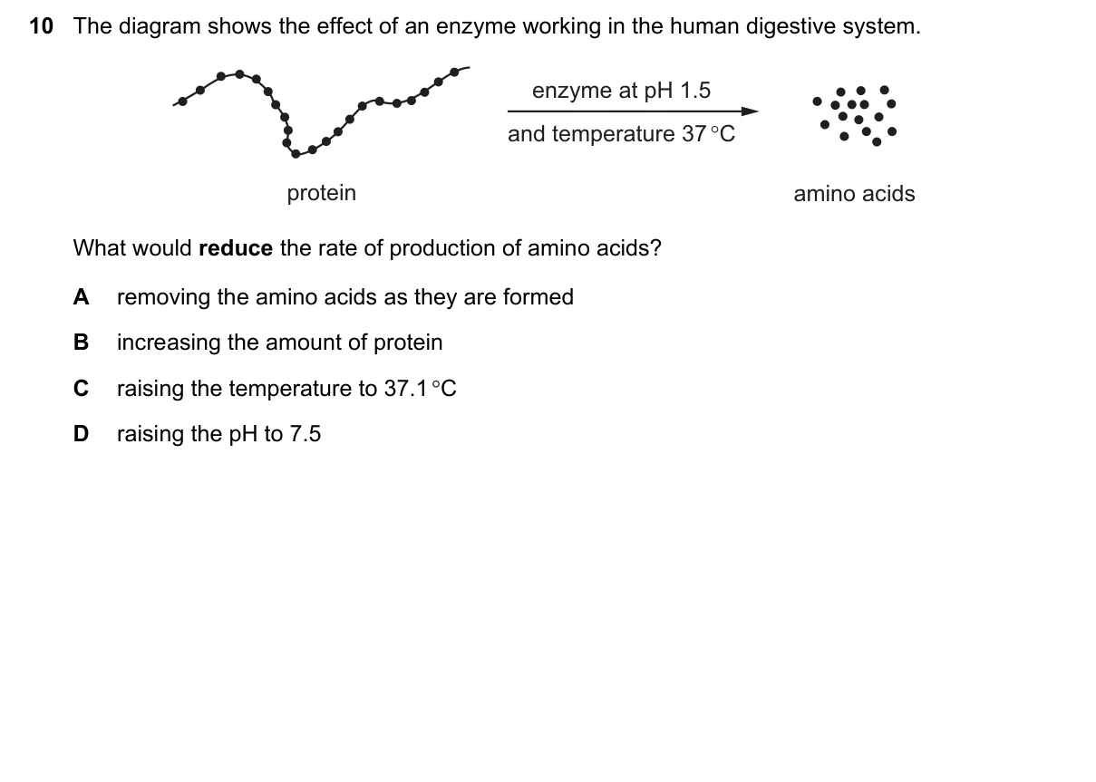 Question 10, March 2019, 0610 Paper 12