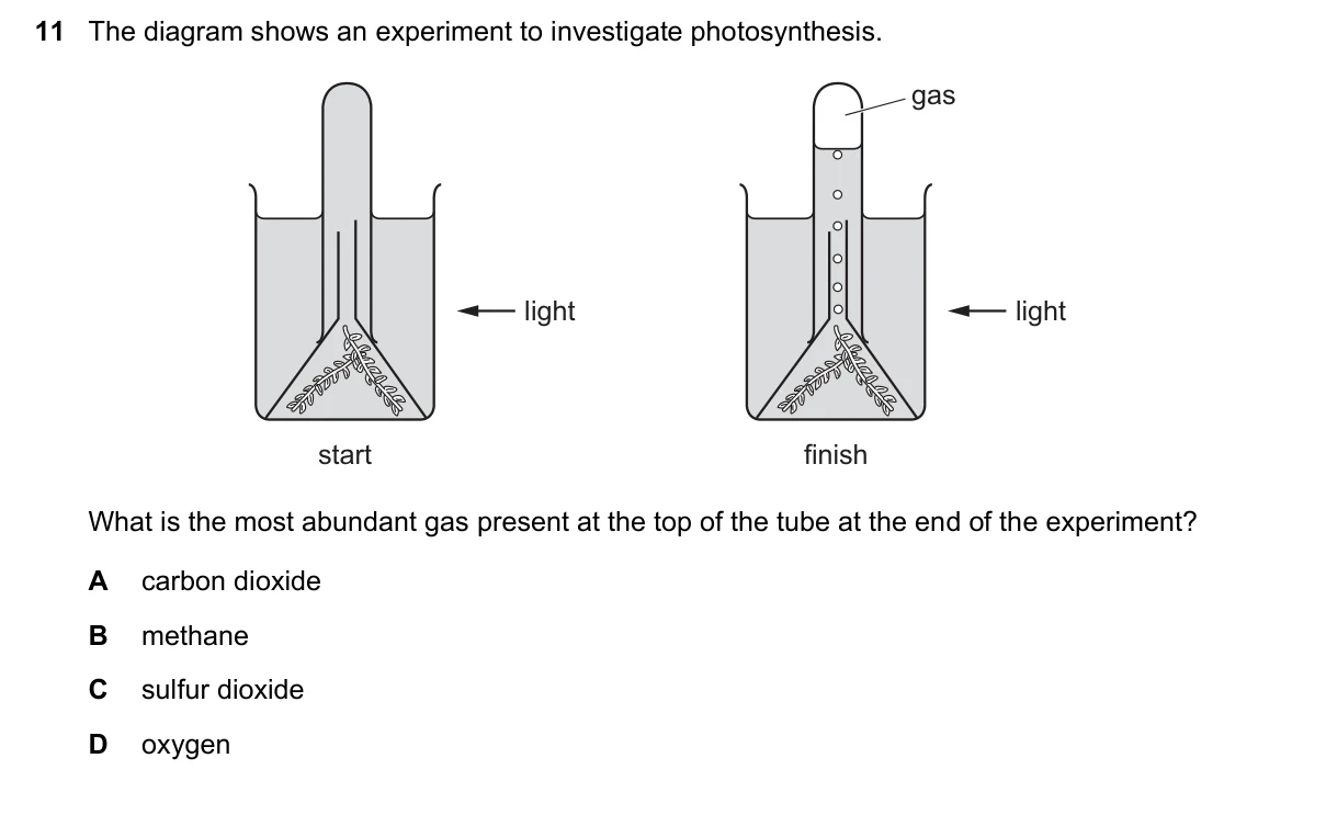 Question 11, March 2019, 0610 Paper 12