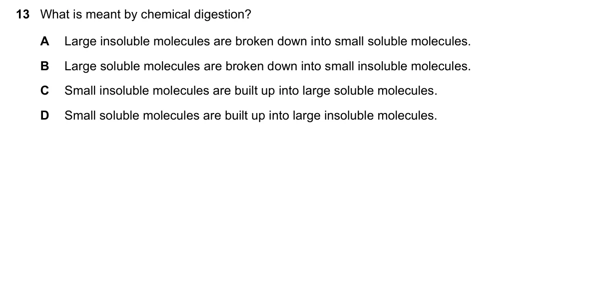 Question 13, March 2019, 0610 Paper 12