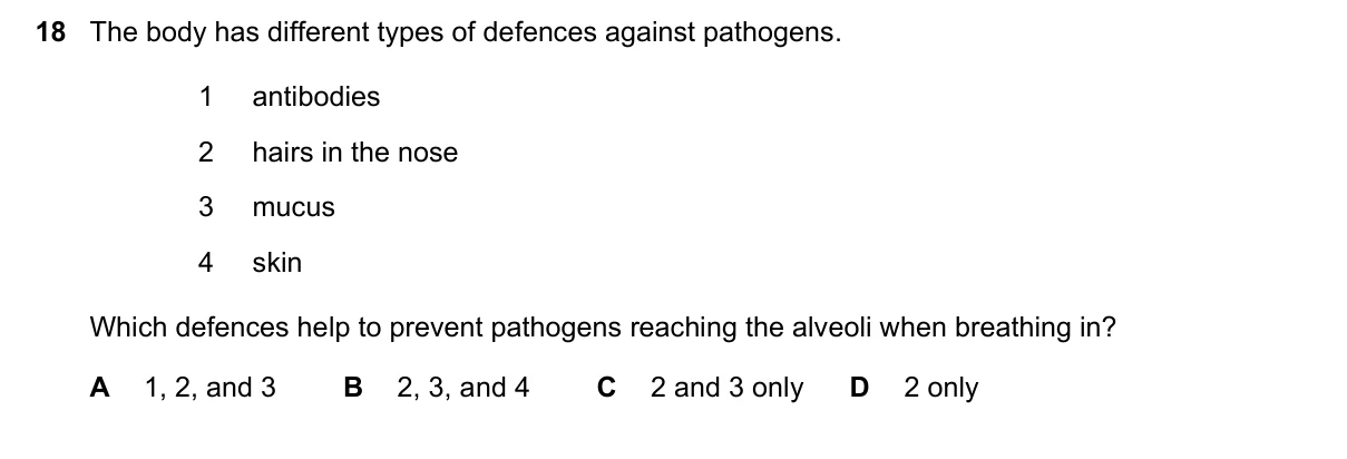 Question 18, March 2019, 0610 Paper 12