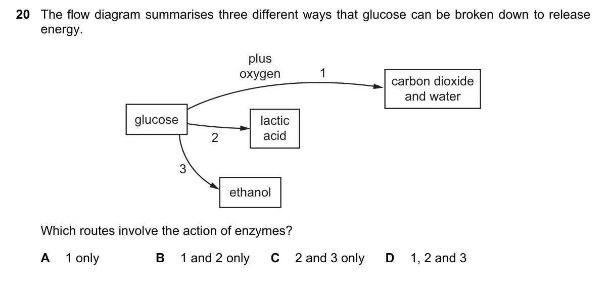 Question 20, March 2019, 0610 Paper 12