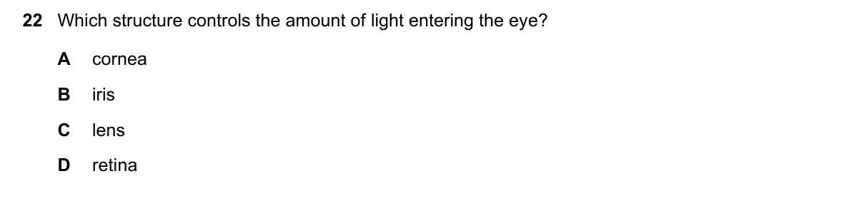 Question 22, March 2019, 0610 Paper 12