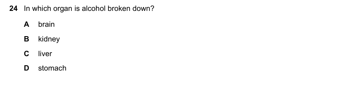 Question 24, March 2019, 0610 Paper 12