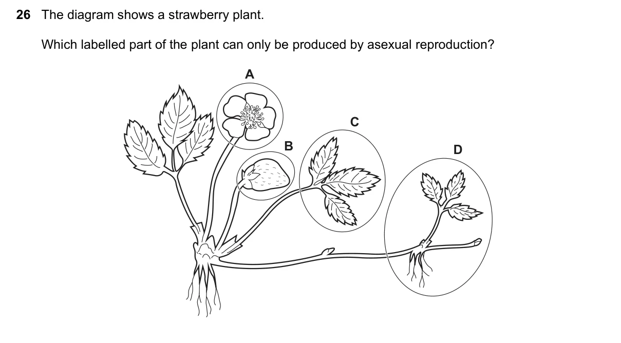 Question 26, March 2019, 0610 Paper 12