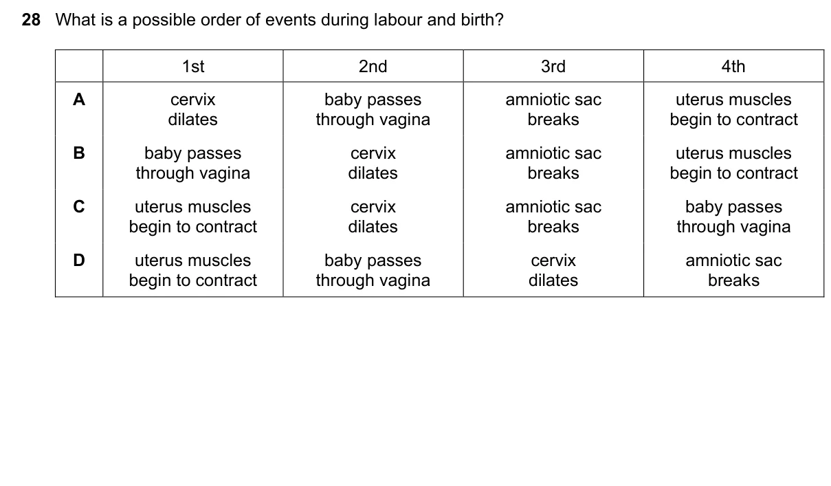 Question 28, March 2019, 0610 Paper 12