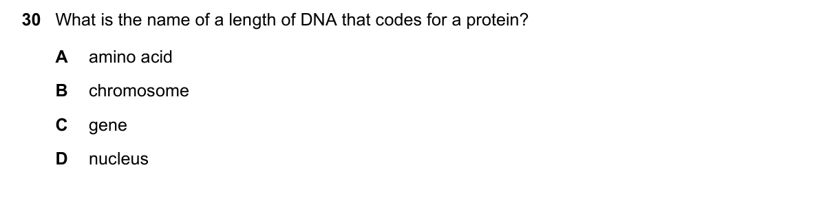 Question 30, March 2019, 0610 Paper 12