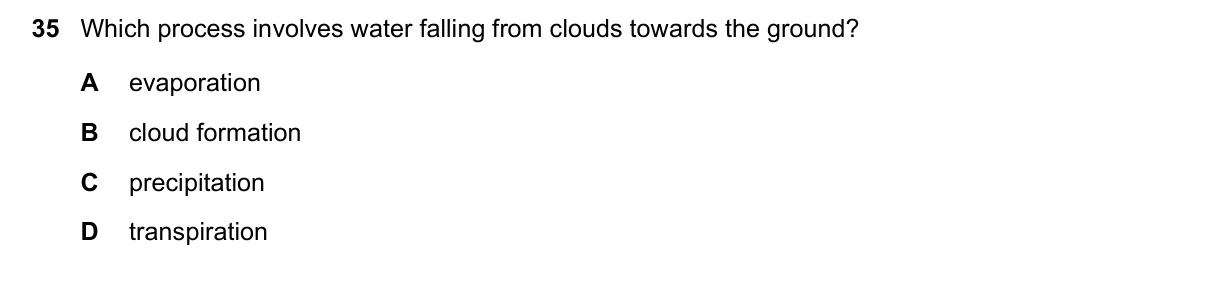 Question 35, March 2019, 0610 Paper 12