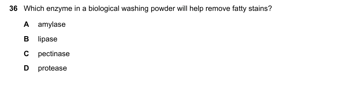 Question 36, March 2019, 0610 Paper 12