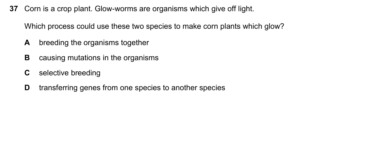 Question 37, March 2019, 0610 Paper 12