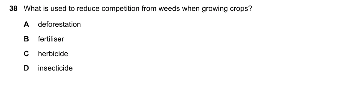 Question 38, March 2019, 0610 Paper 12
