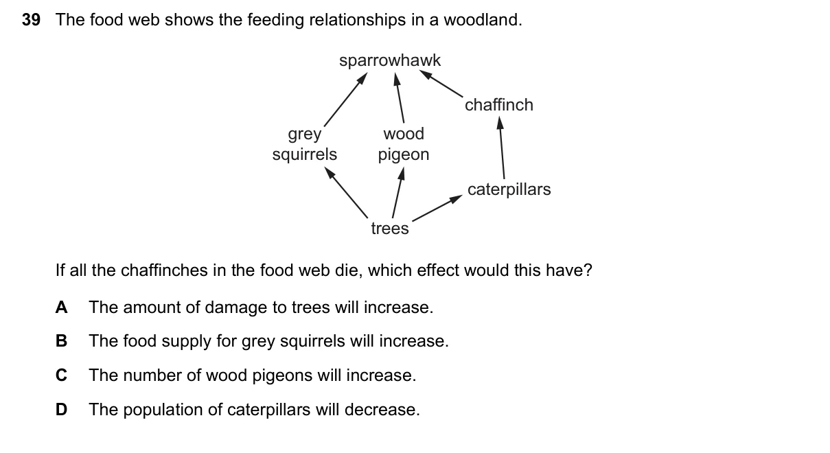 Question 39, March 2019, 0610 Paper 12