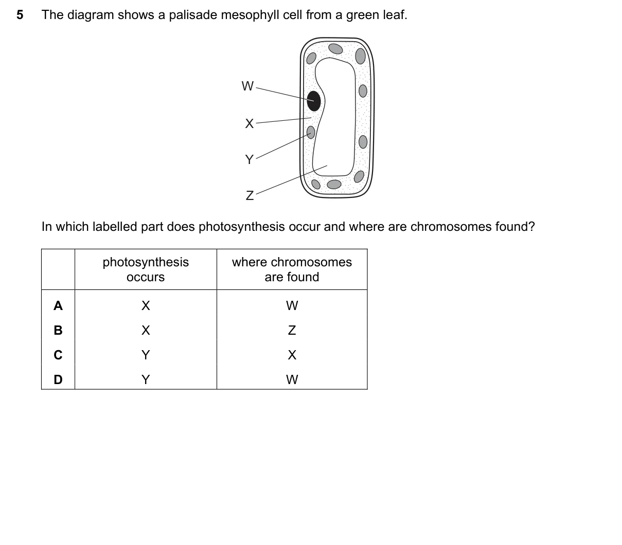 Question 5, March 2019, 0610 Paper 12