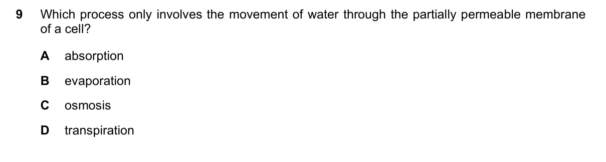 Question 9, March 2019, 0610 Paper 12