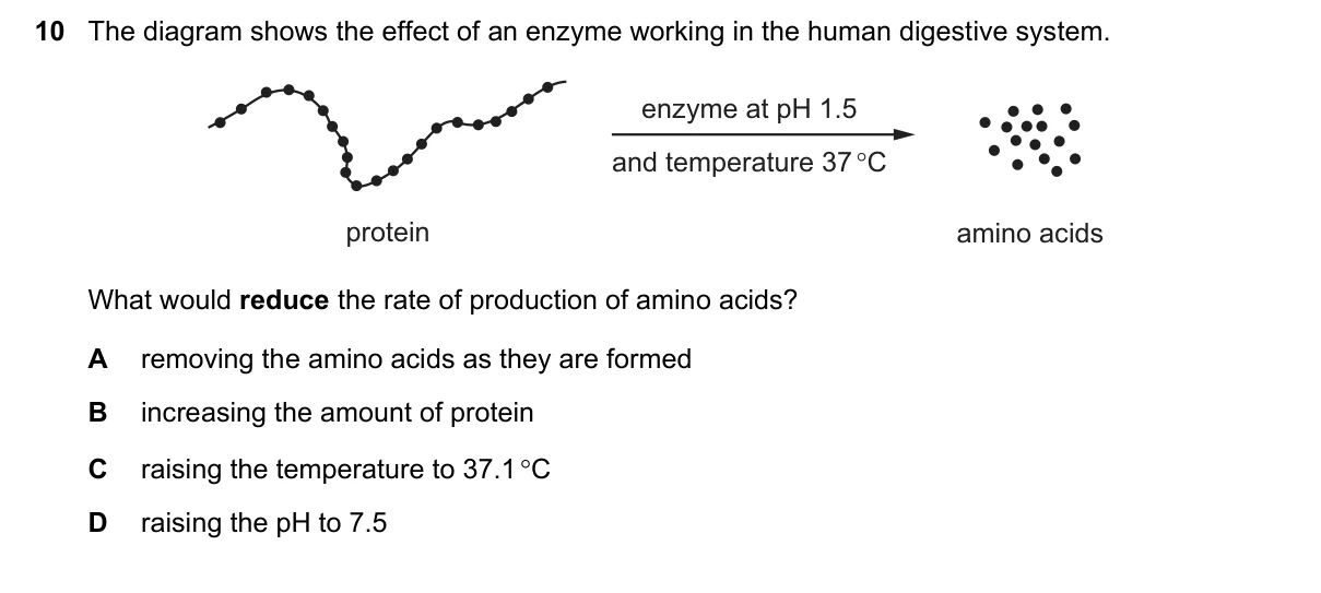 Question 10, March 2019, 0610 Paper 22