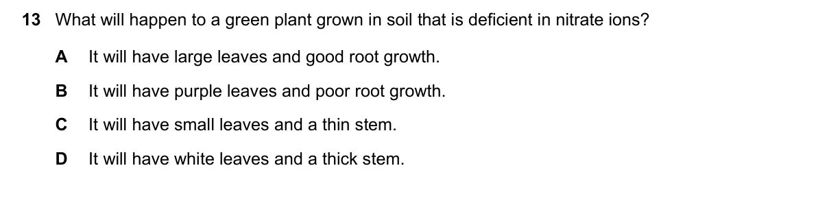 Question 13, March 2019, 0610 Paper 22