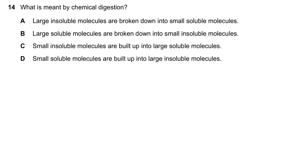 Question 14, March 2019, 0610 Paper 22
