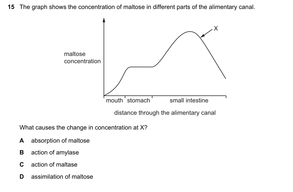 Question 15, March 2019, 0610 Paper 22