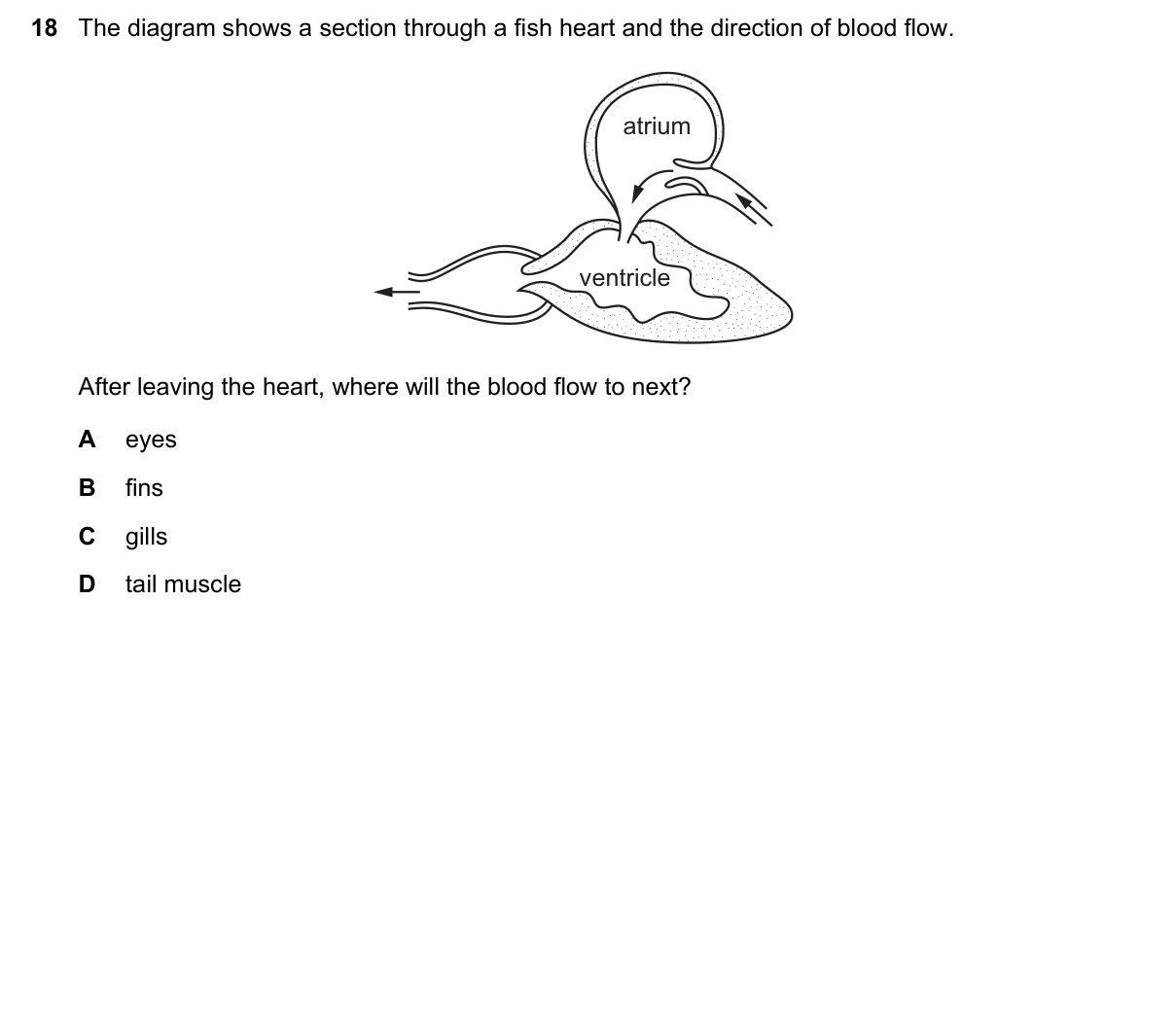 Question 18, March 2019, 0610 Paper 22