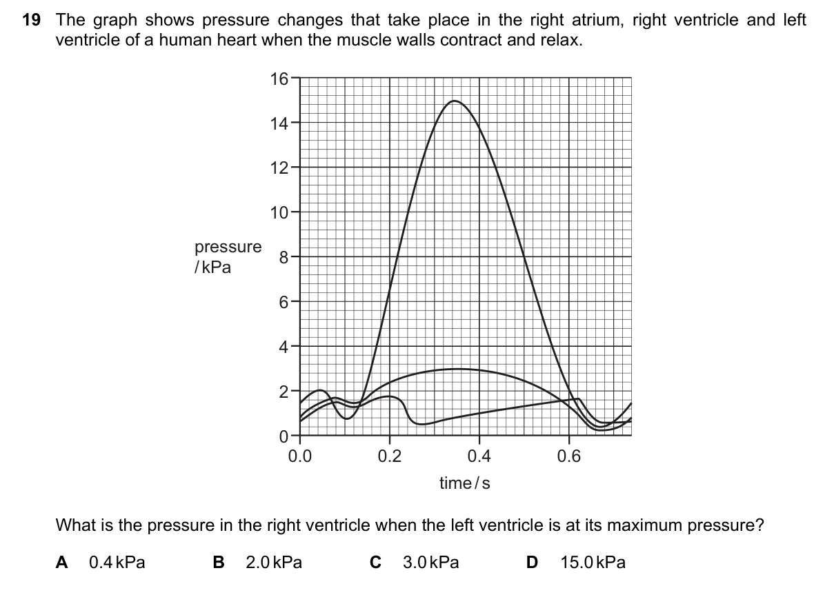 Question 19, March 2019, 0610 Paper 22