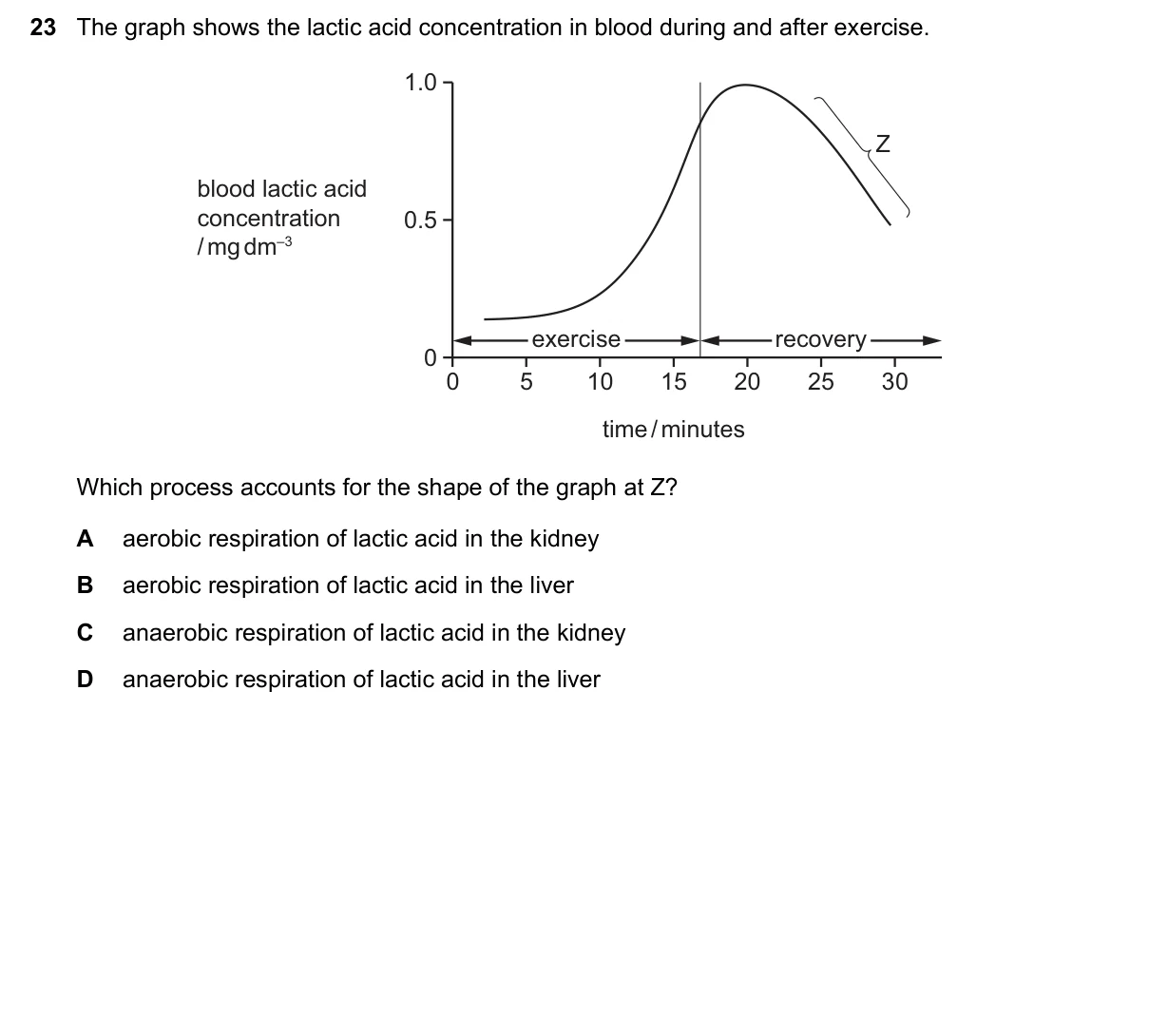 Question 23, March 2019, 0610 Paper 22