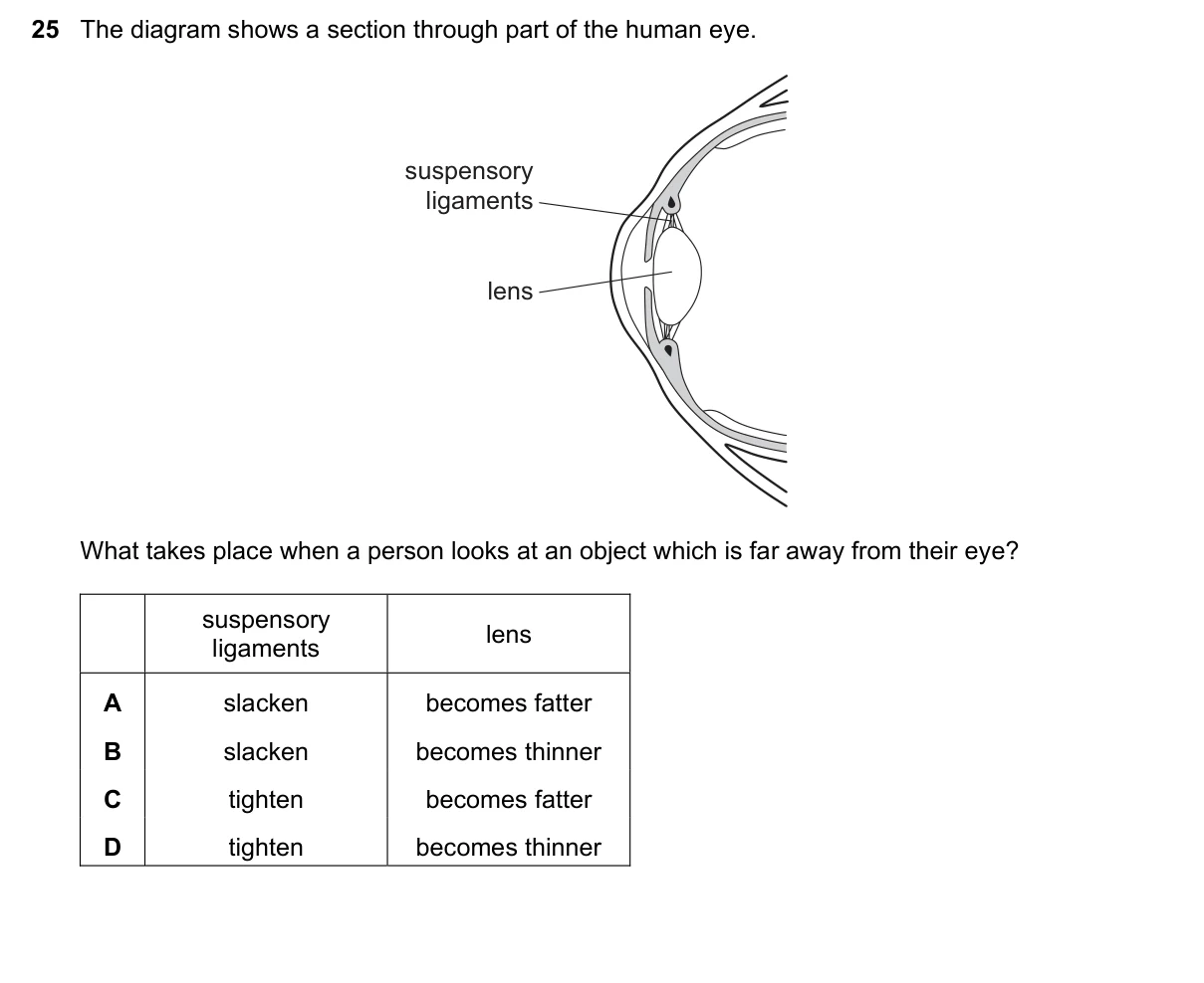 Question 25, March 2019, 0610 Paper 22